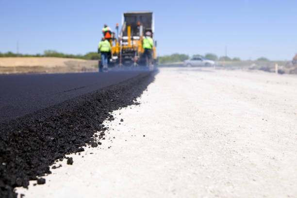 Best Custom Driveway Pavers  in Immokalee, FL